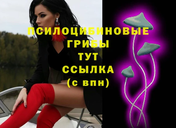 MDMA Premium VHQ Магадан